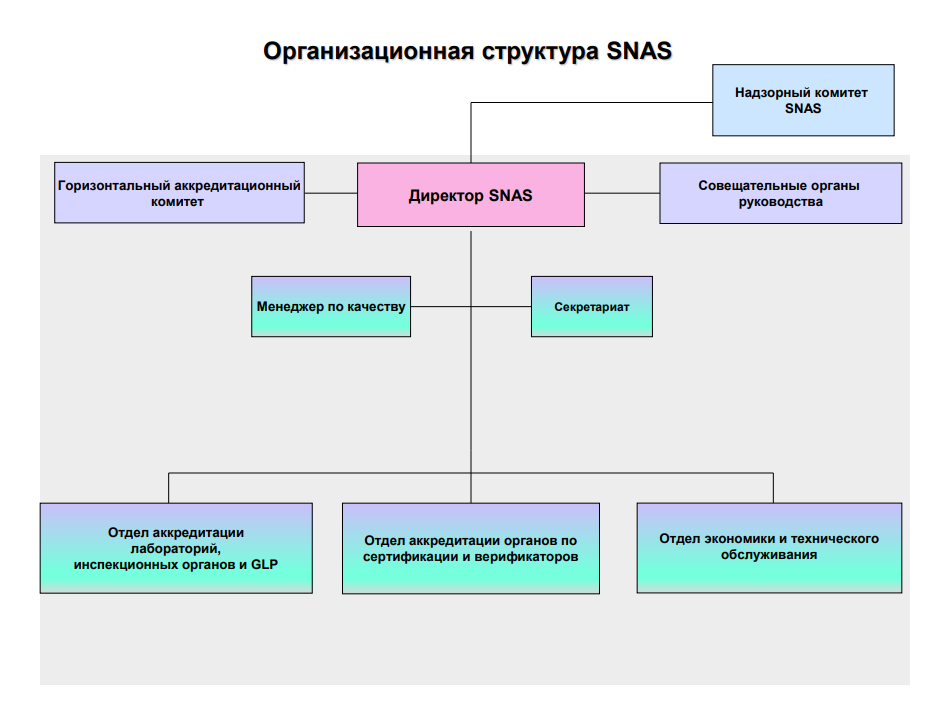 Организационная структура SNAS