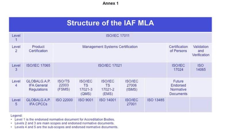 SCOPE AND STRUCTURE OF THE IAF MLA